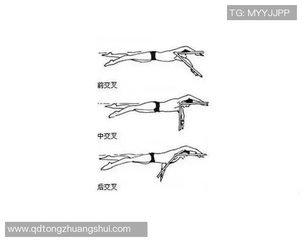 自由泳技巧全面解析：从基础动作到提高速度的科学训练方法