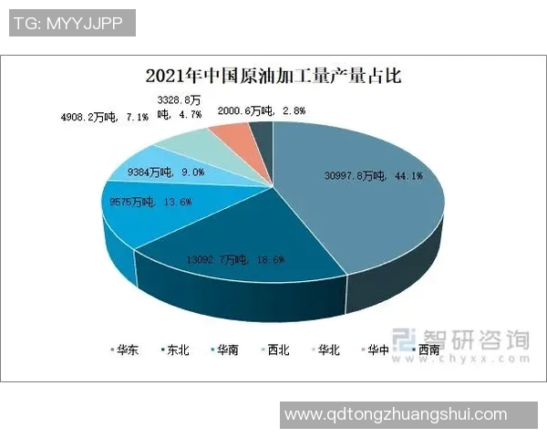 中国足球明星身价排行榜回顾与分析历年变化及影响因素探讨